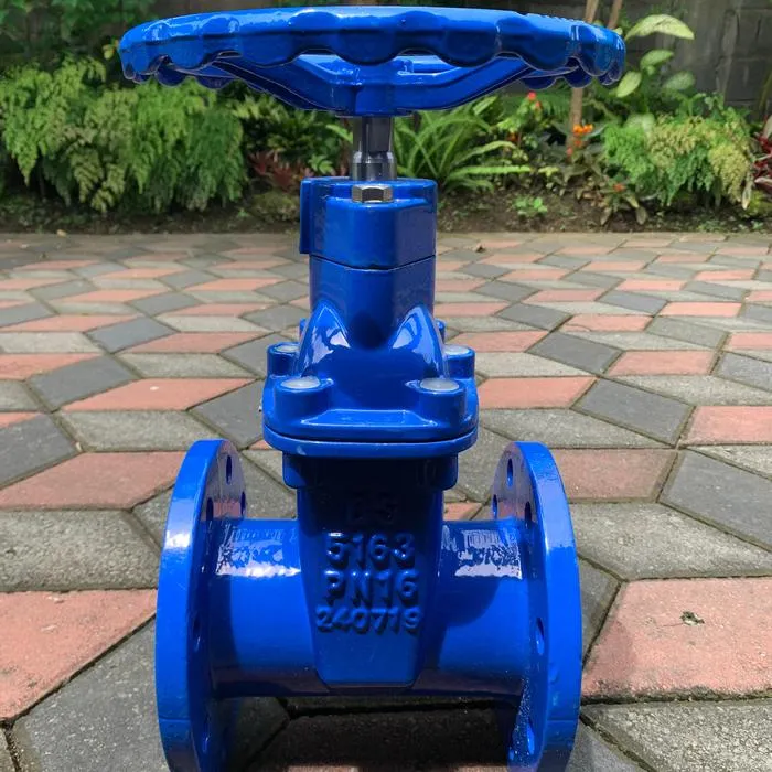 Resilient Gate Valve depan Resilient Gate Valve depan